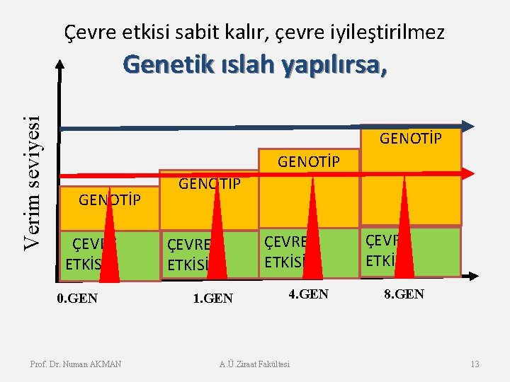 Çevre etkisi sabit kalır, çevre iyileştirilmez Verim seviyesi Genetik ıslah yapılırsa, GENOTİP ÇEVRE ETKİSİ