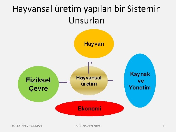 Hayvansal üretim yapılan bir Sistemin Unsurları Hayvan Fiziksel Çevre Hayvansal üretim Kaynak ve Yönetim