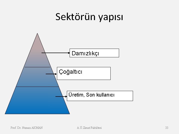 Sektörün yapısı Damızlıkçı Çoğaltıcı Üretim, Son kullanıcı Prof. Dr. Numan AKMAN A. Ü. Ziraat