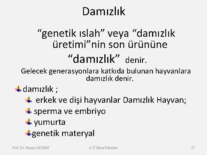 Damızlık “genetik ıslah” veya “damızlık üretimi”nin son ürününe “damızlık” denir. Gelecek generasyonlara katkıda bulunan