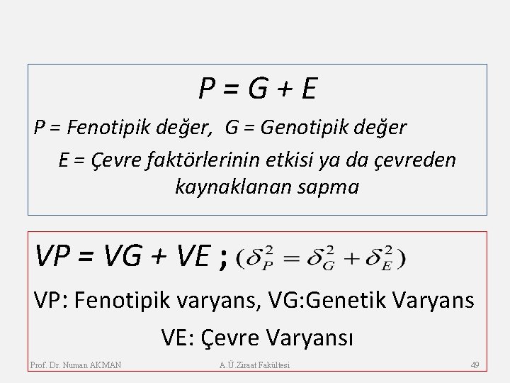 P=G+E P = Fenotipik değer, G = Genotipik değer E = Çevre faktörlerinin etkisi