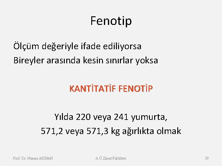 Fenotip Ölçüm değeriyle ifade ediliyorsa Bireyler arasında kesin sınırlar yoksa KANTİTATİF FENOTİP Yılda 220