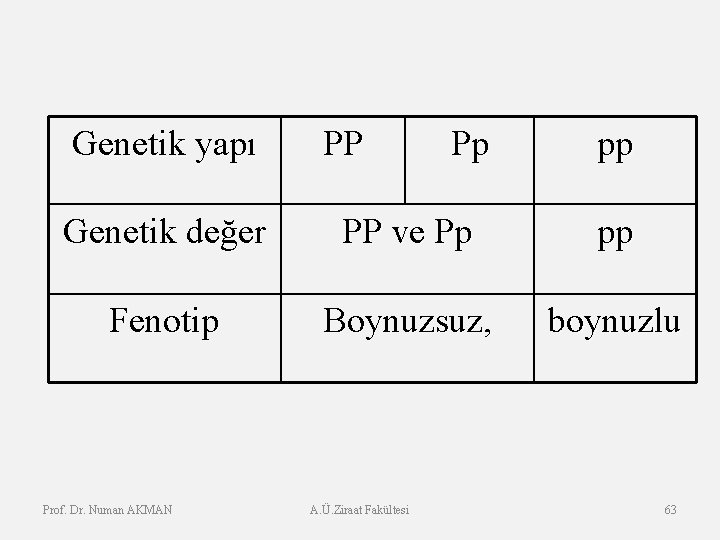 Genetik yapı PP Pp pp Genetik değer PP ve Pp pp Fenotip Boynuzsuz, boynuzlu
