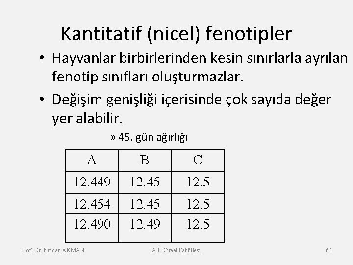 Kantitatif (nicel) fenotipler • Hayvanlar birbirlerinden kesin sınırlarla ayrılan fenotip sınıfları oluşturmazlar. • Değişim