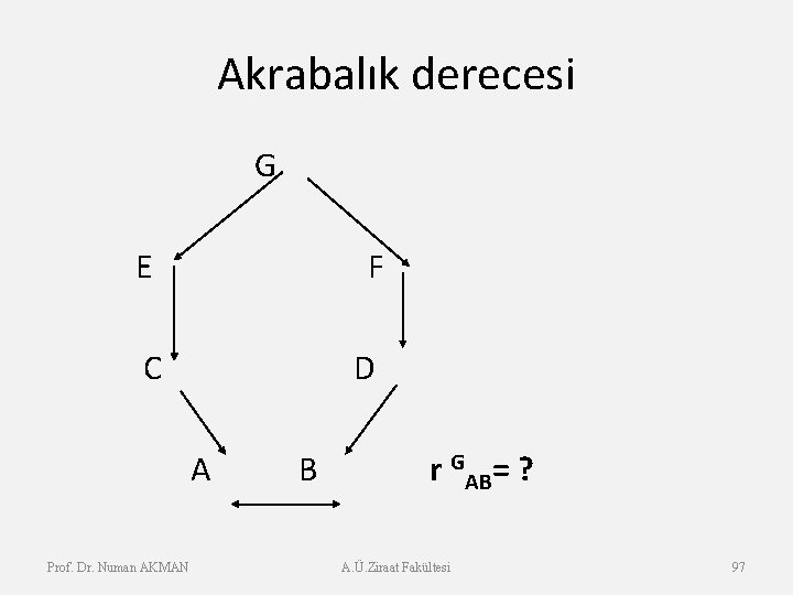 Akrabalık derecesi G E F C D A B r GAB= ? Prof. Dr.