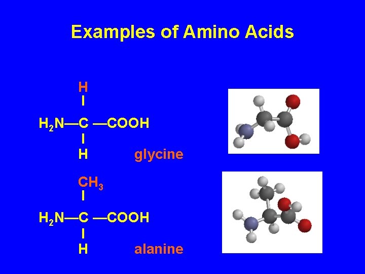 Examples of Amino Acids H I H 2 N—C —COOH I H glycine CH