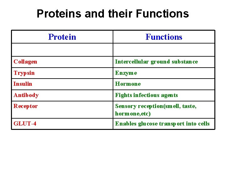 Proteins and their Functions Protein Functions Collagen Intercellular ground substance Trypsin Enzyme Insulin Hormone