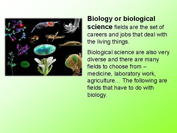 Biology or biological science fields are the set of careers and jobs that deal