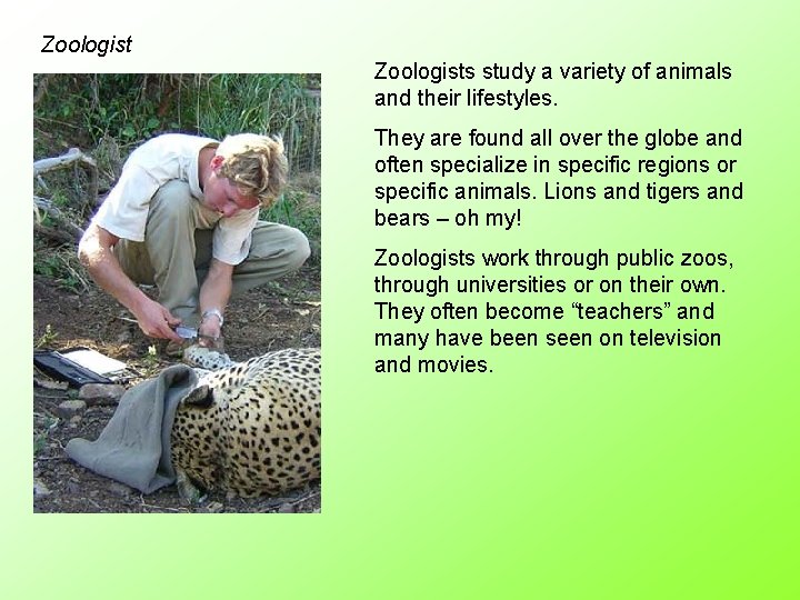Zoologists study a variety of animals and their lifestyles. They are found all over