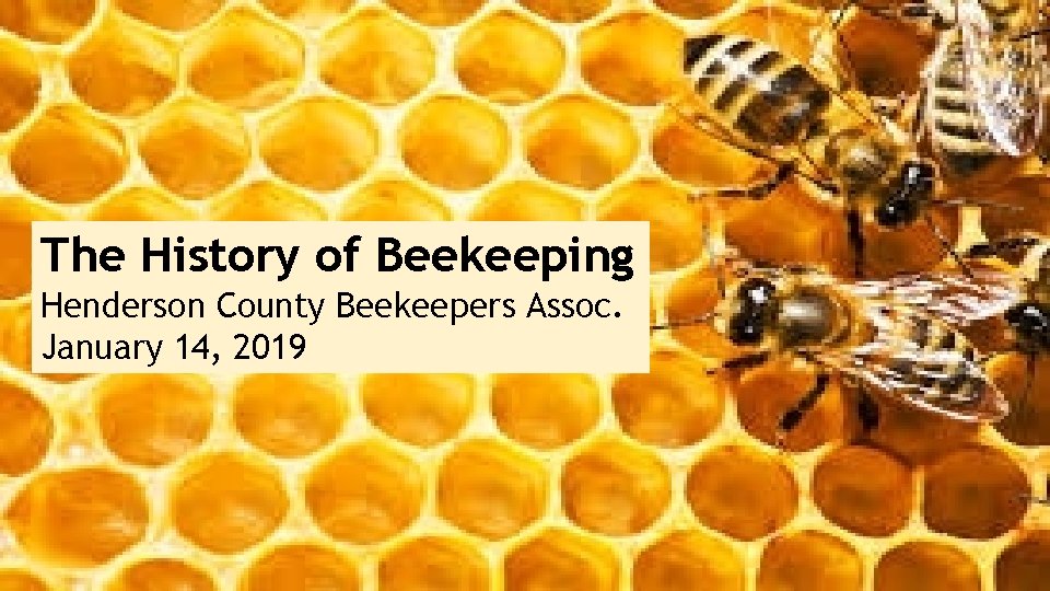 The History of Beekeeping Henderson County Beekeepers Assoc. January 14, 2019 