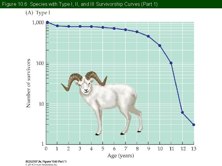 Figure 10. 6 Species with Type I, II, and III Survivorship Curves (Part 1)