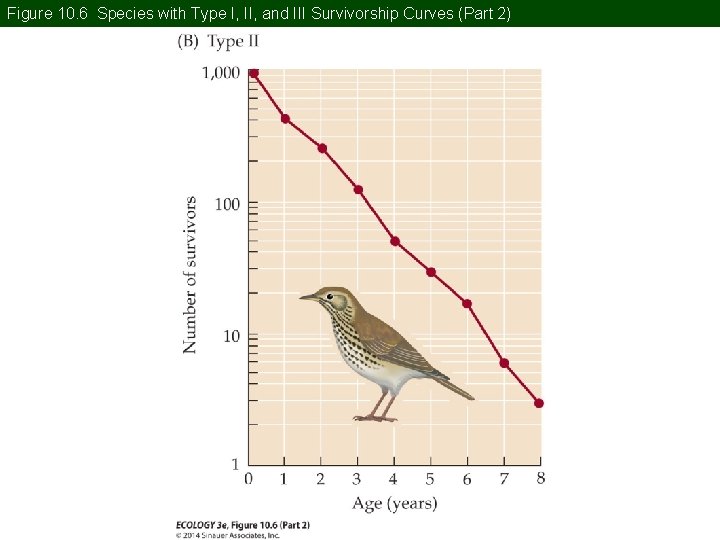 Figure 10. 6 Species with Type I, II, and III Survivorship Curves (Part 2)