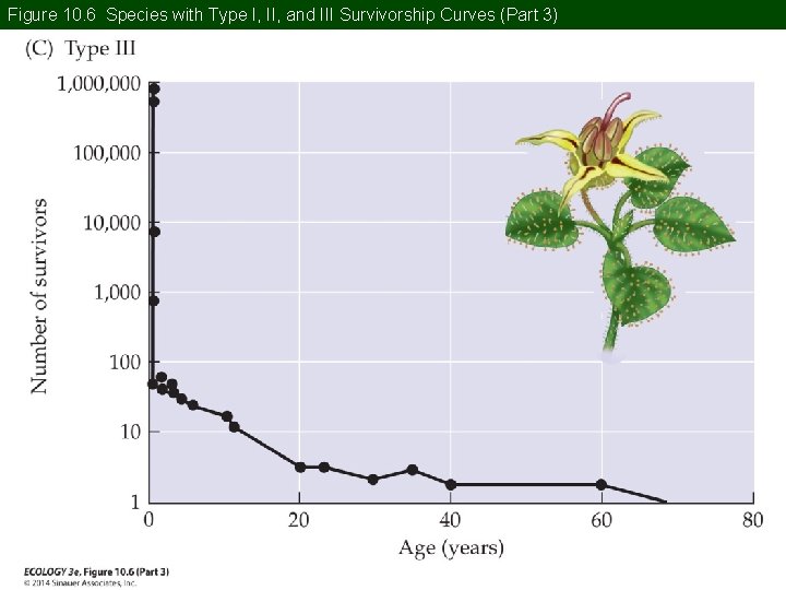 Figure 10. 6 Species with Type I, II, and III Survivorship Curves (Part 3)