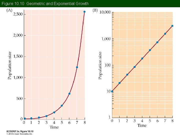 Figure 10. 10 Geometric and Exponential Growth 