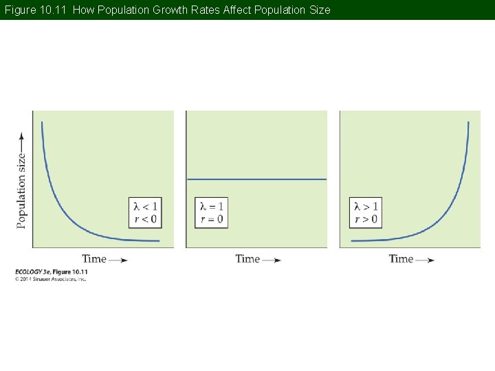 Figure 10. 11 How Population Growth Rates Affect Population Size 