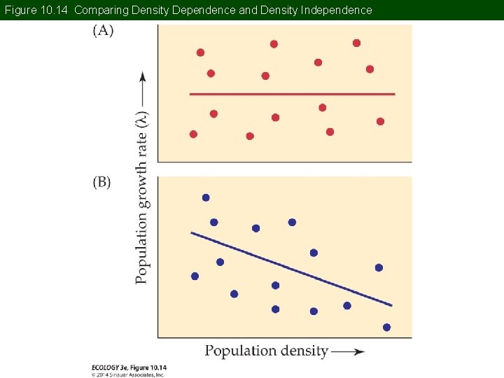 Figure 10. 14 Comparing Density Dependence and Density Independence 