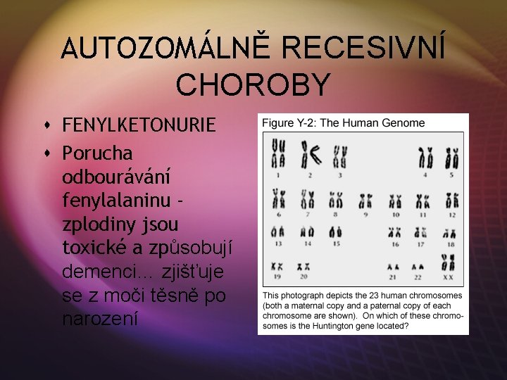 AUTOZOMÁLNĚ RECESIVNÍ CHOROBY s FENYLKETONURIE s Porucha odbourávání fenylalaninu zplodiny jsou toxické a způsobují