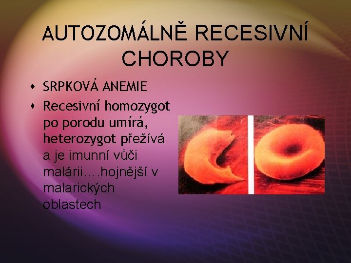 AUTOZOMÁLNĚ RECESIVNÍ CHOROBY s SRPKOVÁ ANEMIE s Recesivní homozygot po porodu umírá, heterozygot přežívá