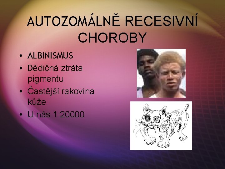 AUTOZOMÁLNĚ RECESIVNÍ CHOROBY s ALBINISMUS s Dědičná ztráta pigmentu s Častější rakovina kůže s