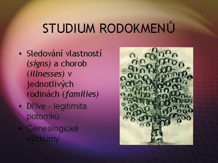 STUDIUM RODOKMENŮ s Sledování vlastností (signs) a chorob (illnesses) v jednotlivých rodinách (families) s