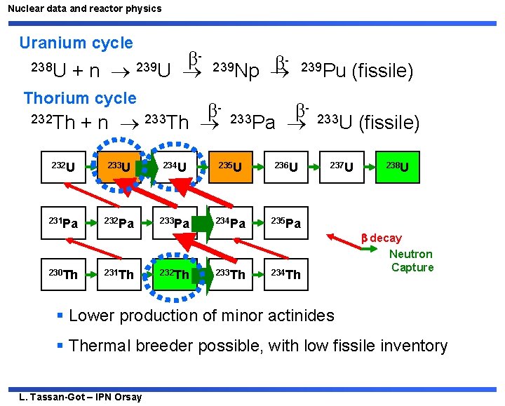 Nuclear data and reactor physics Uranium cycle β 238 U + n 239 U