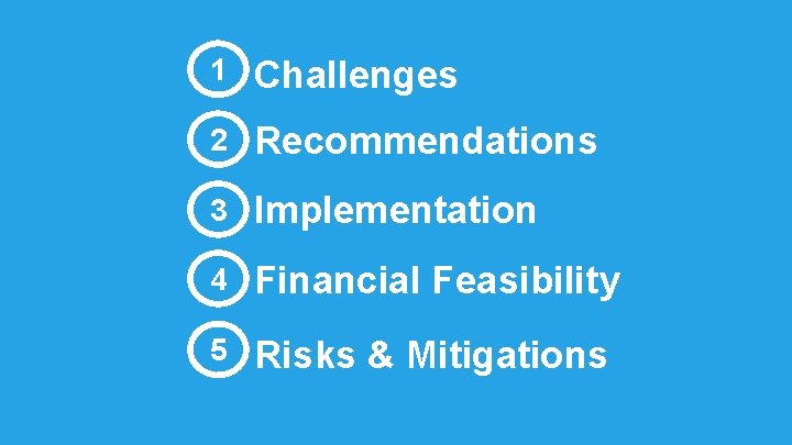 1 Challenges 2 Recommendations 3 Implementation 4 Financial Feasibility 5 Risks & Mitigations 