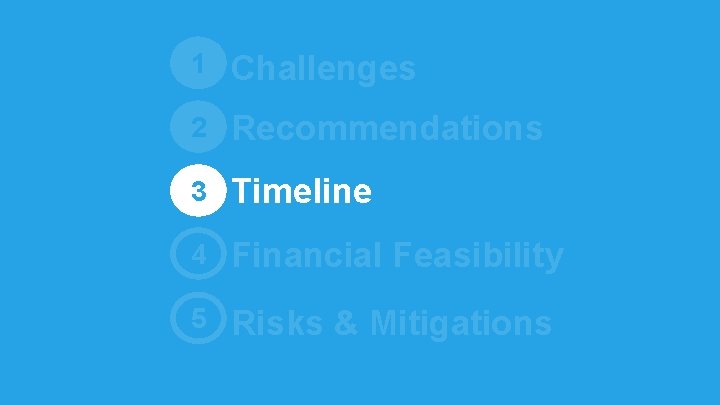 1 Challenges 2 Recommendations 3 Timeline 4 Financial Feasibility 5 Risks & Mitigations 