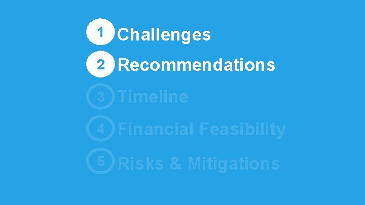 1 Challenges 2 Recommendations 3 Timeline 4 Financial Feasibility 5 Risks & Mitigations 