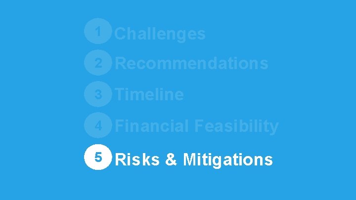 1 Challenges 2 Recommendations 3 Timeline 4 Financial Feasibility 5 Risks & Mitigations 