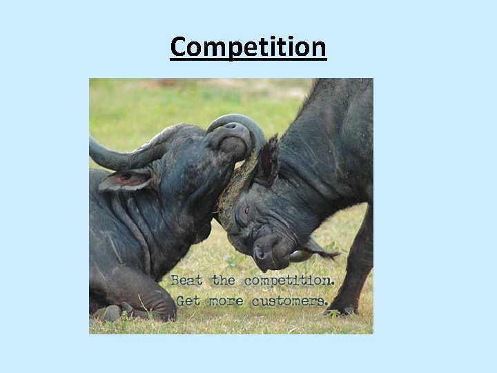 Competition 