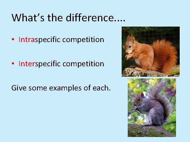 What’s the difference. . • Intraspecific competition • Interspecific competition Give some examples of