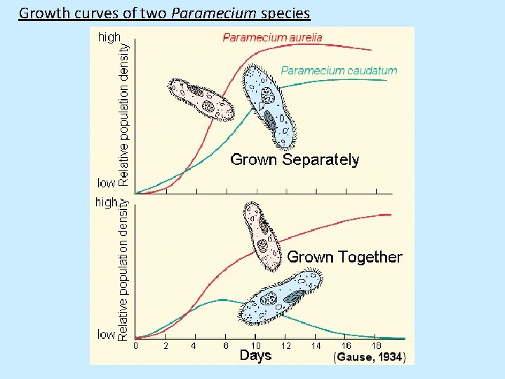 Growth curves of two Paramecium species 