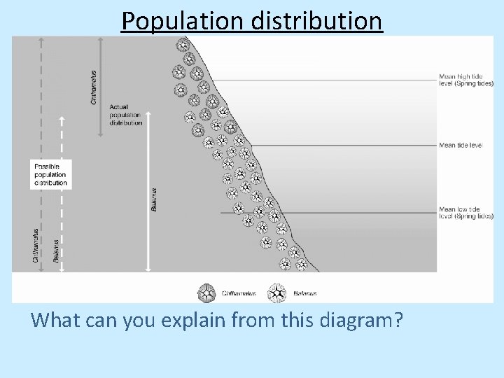 Population distribution What can you explain from this diagram? 