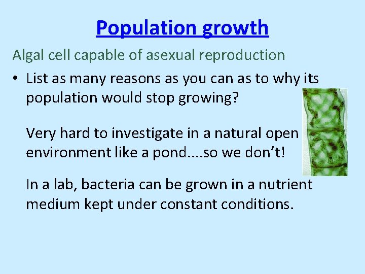 Population growth Algal cell capable of asexual reproduction • List as many reasons as