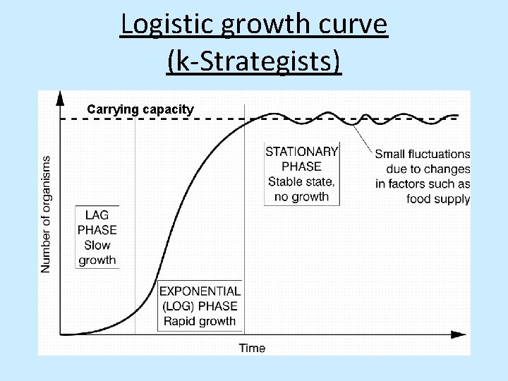 Logistic growth curve (k-Strategists) Carrying capacity 