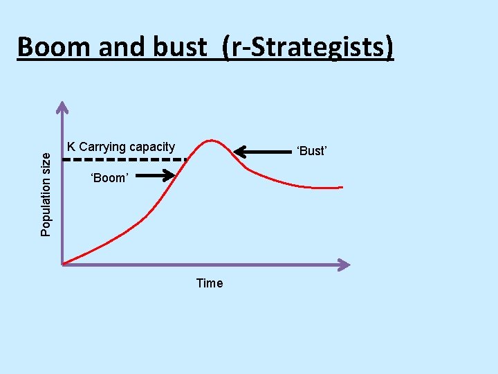 Population size Boom and bust (r-Strategists) K Carrying capacity ‘Bust’ ‘Boom’ Time 