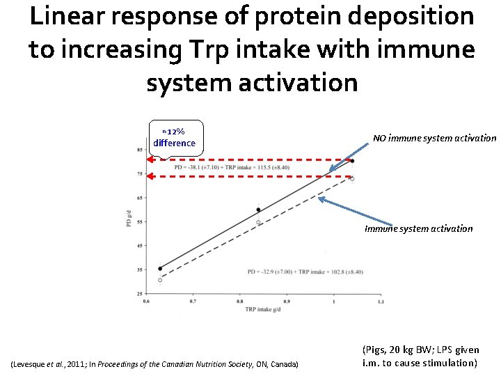 Linear response of protein deposition to increasing Trp intake with immune system activation ≈12%