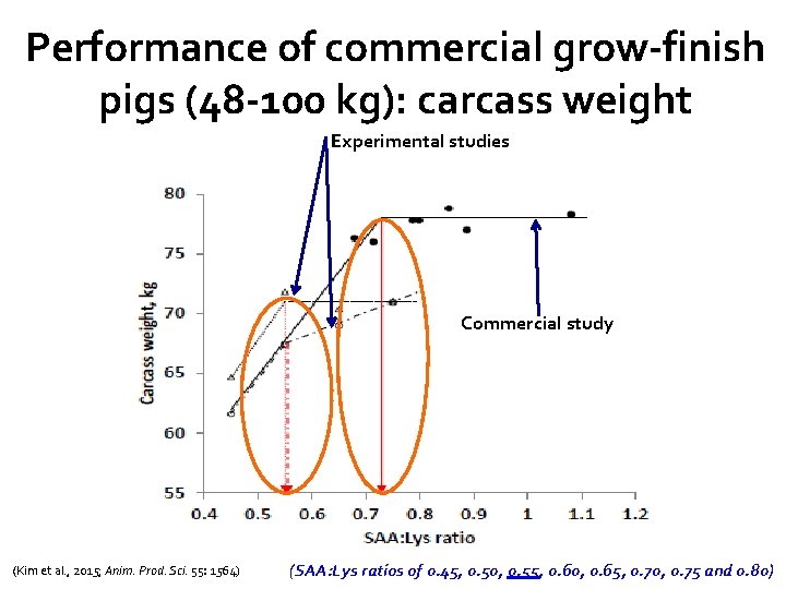 Performance of commercial grow-finish pigs (48 -100 kg): carcass weight Experimental studies Commercial study
