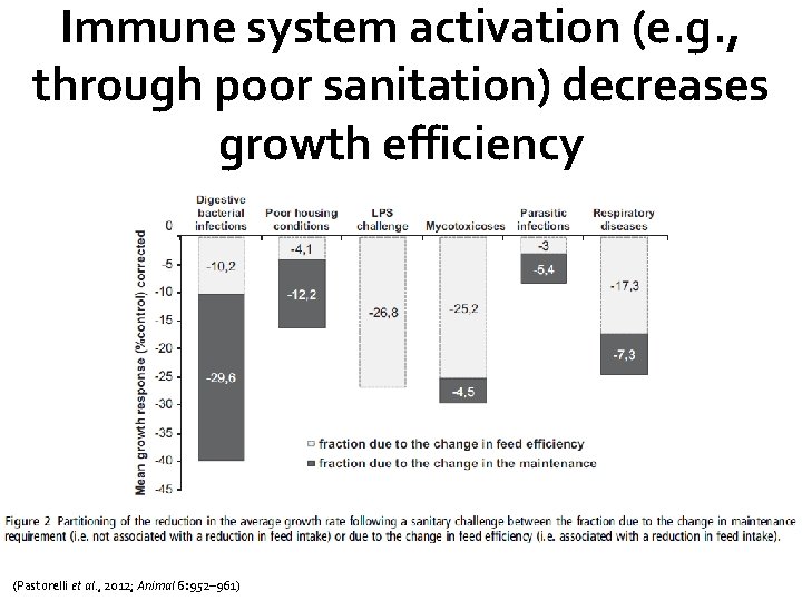 Immune system activation (e. g. , through poor sanitation) decreases growth efficiency (Pastorelli et