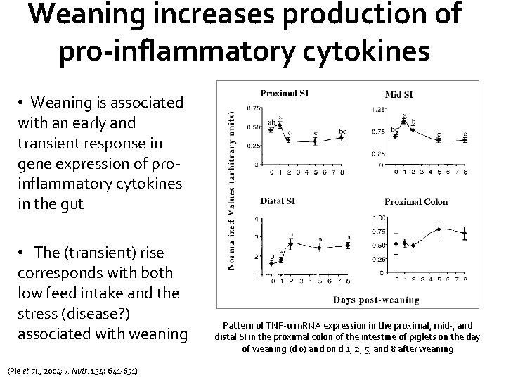 Weaning increases production of pro-inflammatory cytokines • Weaning is associated with an early and