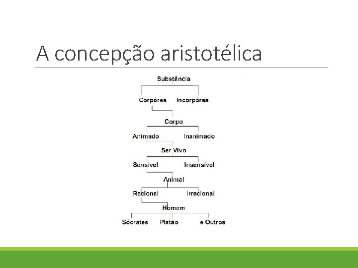 A concepção aristotélica A concepção aristotélica