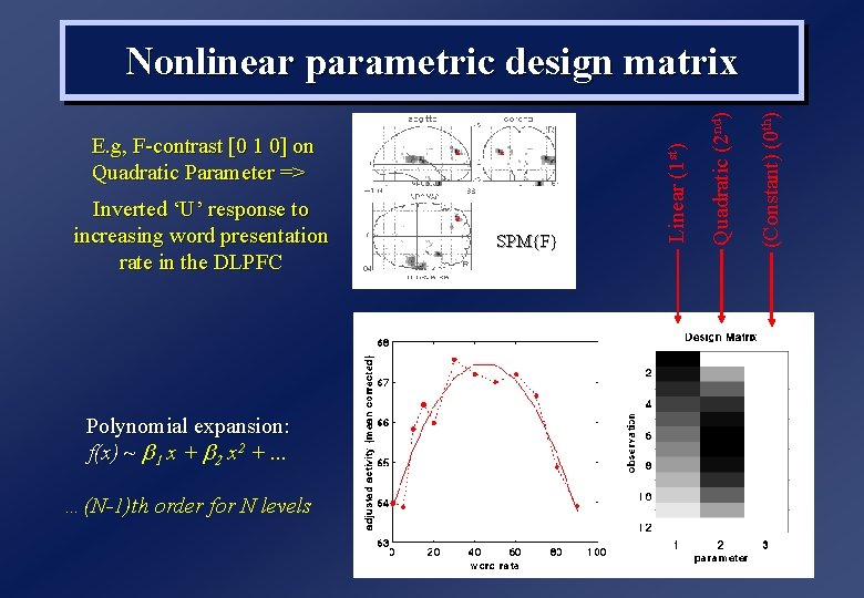 Polynomial expansion: f(x) ~ b 1 x + b 2 x 2 +. . Polynomial expansion: f(x) ~ b 1 x + b 2 x 2 +. .