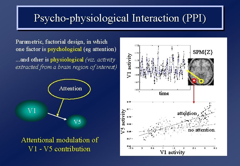 Psycho-physiological Interaction (PPI) Parametric, factorial design, in which one factor is psychological (eg attention) Psycho-physiological Interaction (PPI) Parametric, factorial design, in which one factor is psychological (eg attention)
