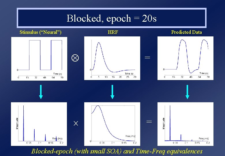 Blocked, epoch = 20 s Stimulus (“Neural”) HRF Predicted Data = = Blocked-epoch (with