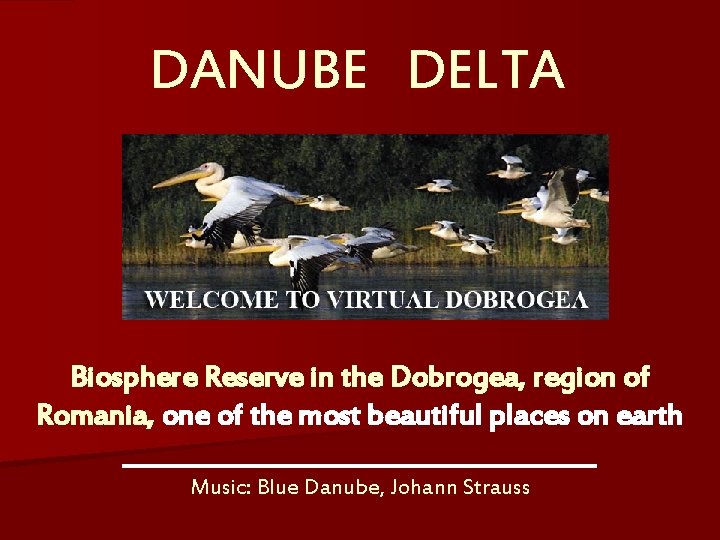 DANUBE DELTA Biosphere Reserve in the Dobrogea, region of Romania, one of the most