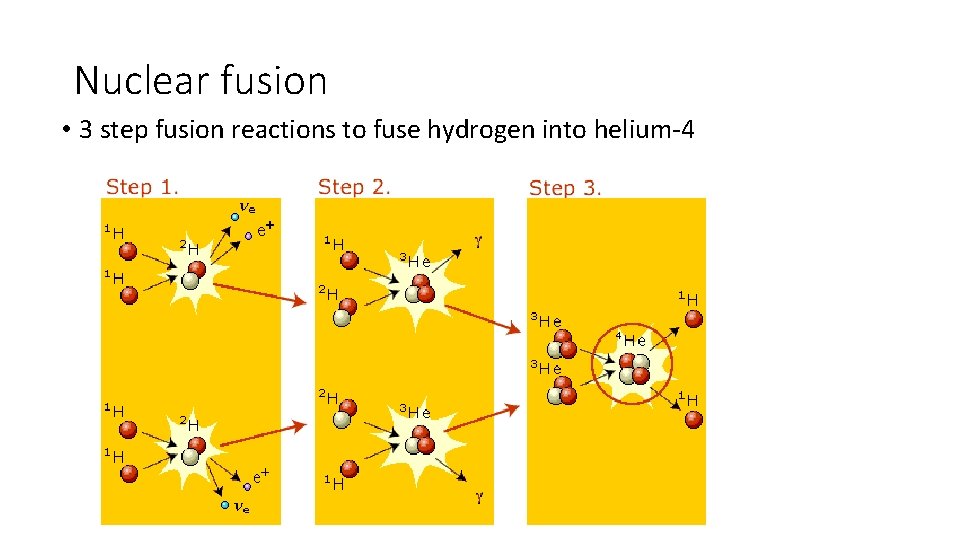 Nuclear fusion • 3 step fusion reactions to fuse hydrogen into helium-4 