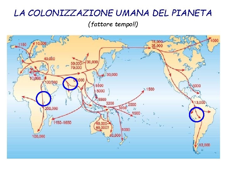 LA COLONIZZAZIONE UMANA DEL PIANETA (fattore tempo!!) 