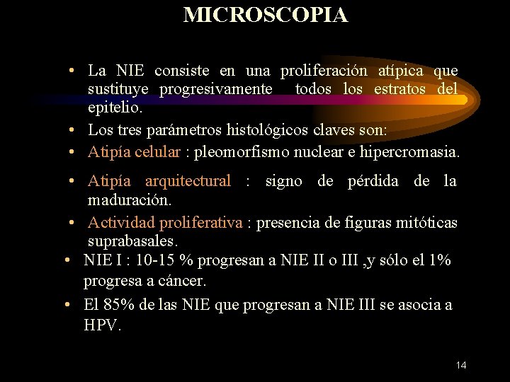 MICROSCOPIA • La NIE consiste en una proliferación atípica que sustituye progresivamente todos los