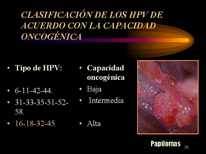 CLASIFICACIÓN DE LOS HPV DE ACUERDO CON LA CAPACIDAD ONCOGÉNICA • Tipo de HPV: