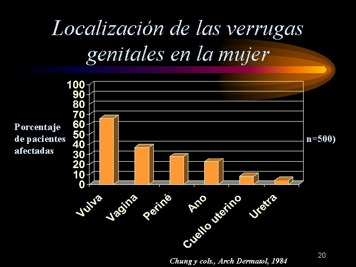 Localización de las verrugas genitales en la mujer Porcentaje de pacientes afectadas (n=500) Chung